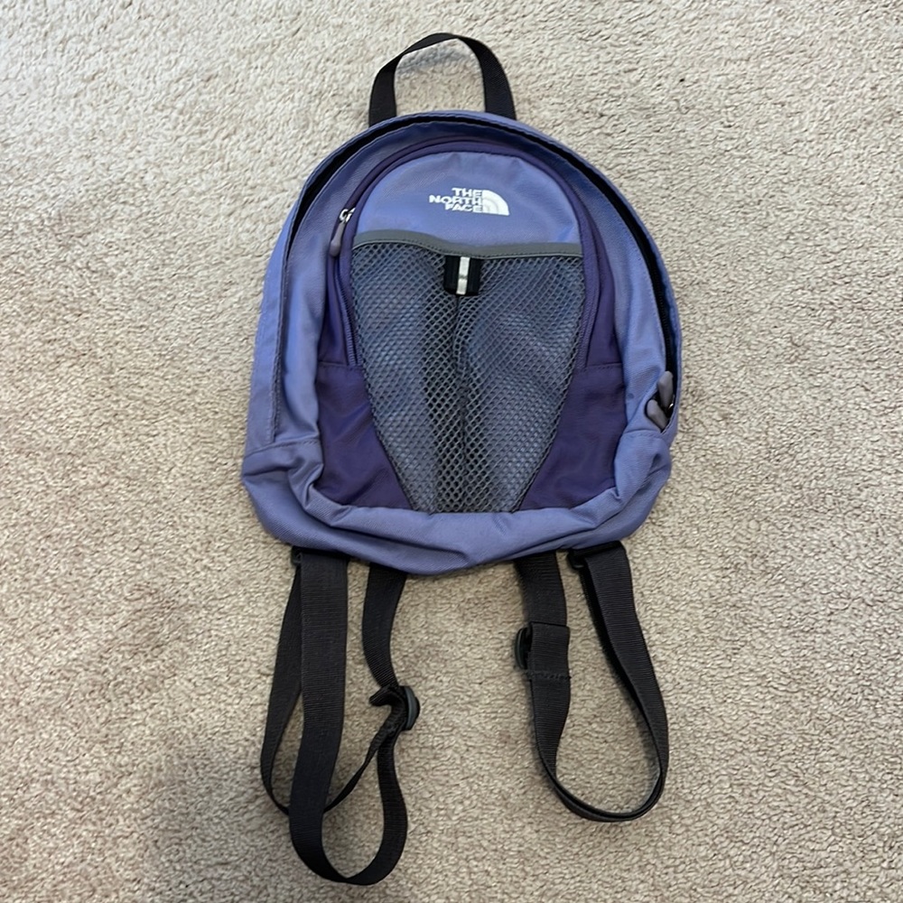 The North Face Mini Backpack